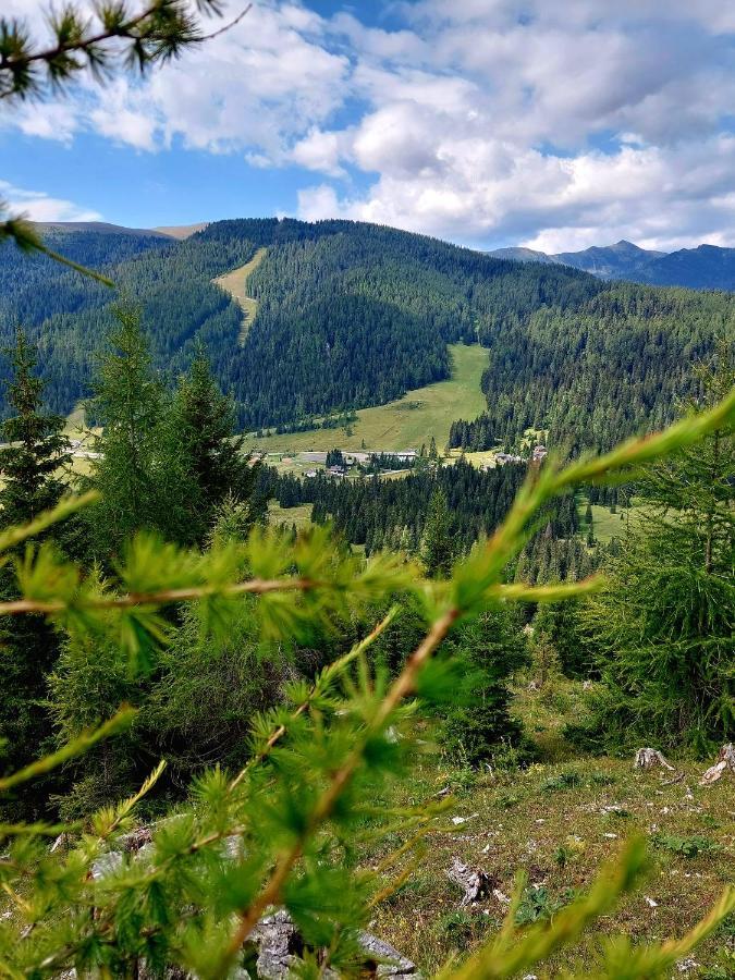Almhaus Kaernten Flattnitz Bagian luar foto